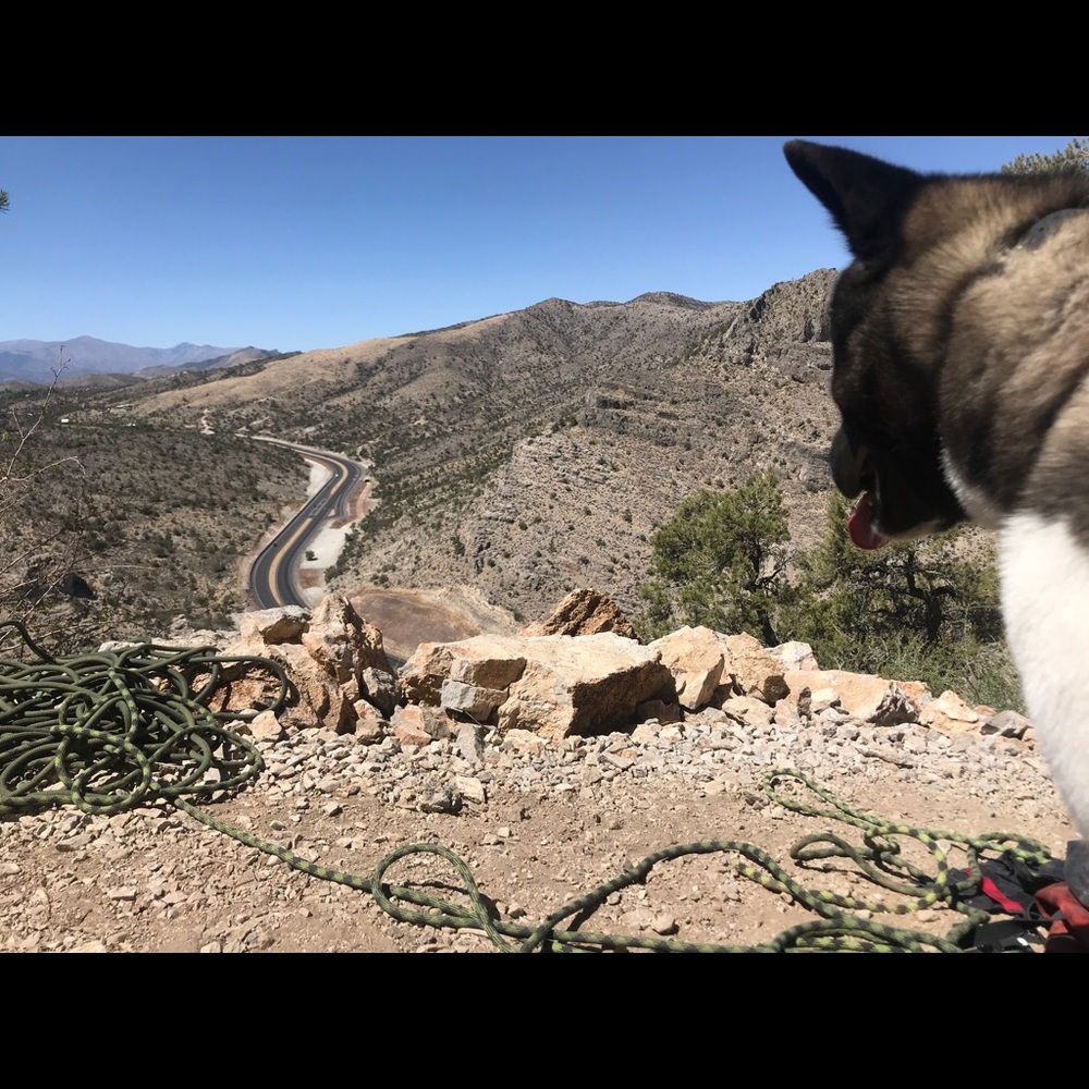 Meet your Posher, Meagen